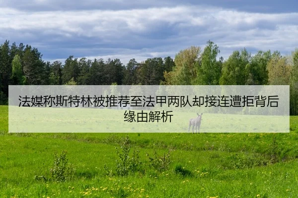法媒称斯特林被推荐至法甲两队却接连遭拒背后缘由解析